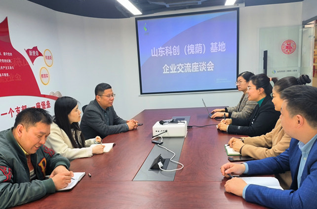 山東科創(chuàng)(槐蔭)基地與孚恩租賃召開座談會，加強交流合作